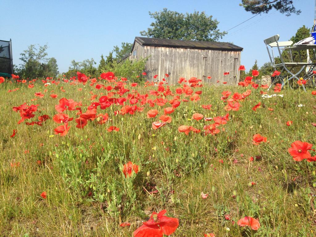Farogarden Bed & Breakfast Buitenkant foto